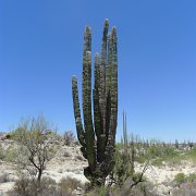 Baja2011 1063 : Baja2011